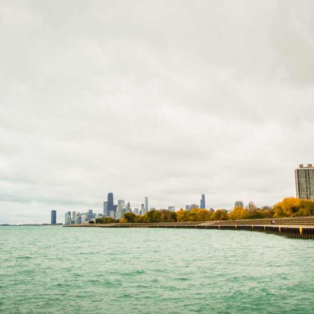 chicago, autumn, belmont harbor