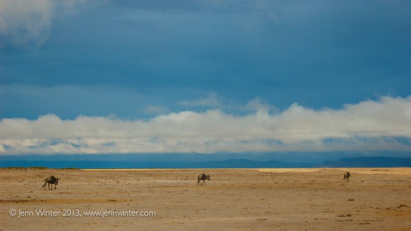 amboseli-11