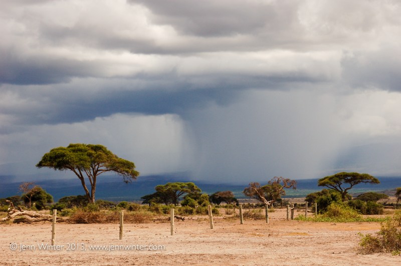 amboseli-15